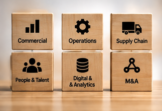 Enterprise capability building blocks, panning commercial, operations, supply chain, people and talent, digital analytics, and M&A